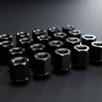 Titanium GR5 short standard hex lug nut set, black, 20 pieces