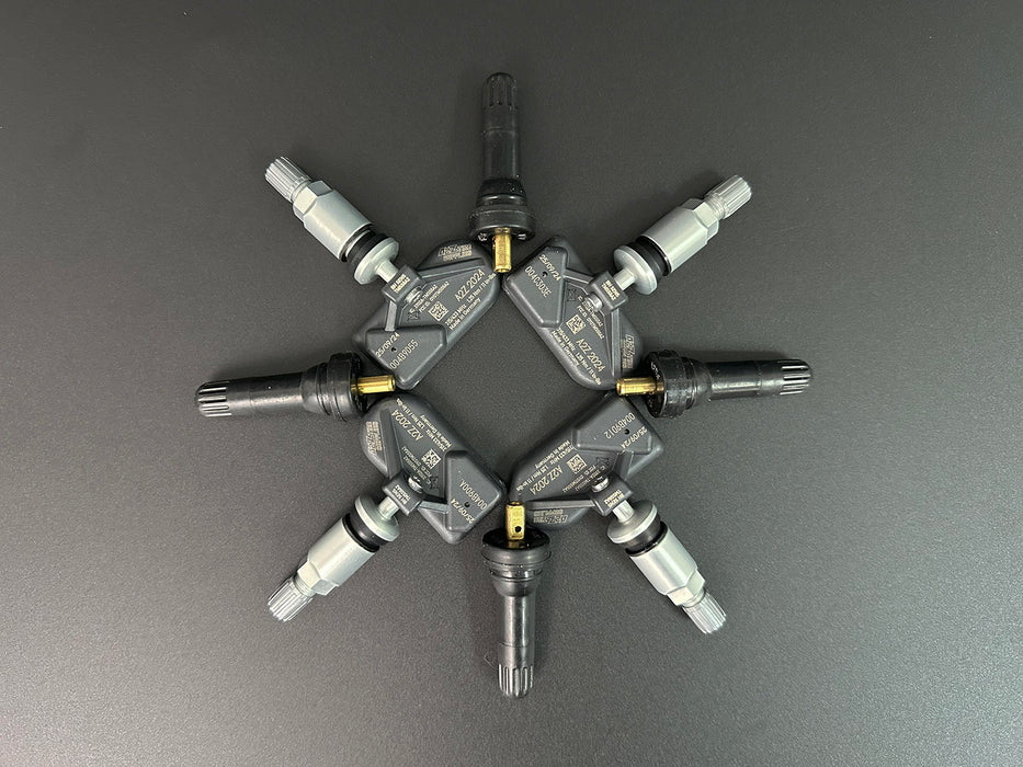 TPMS Black Rubber Valve & Silver Metal Valve