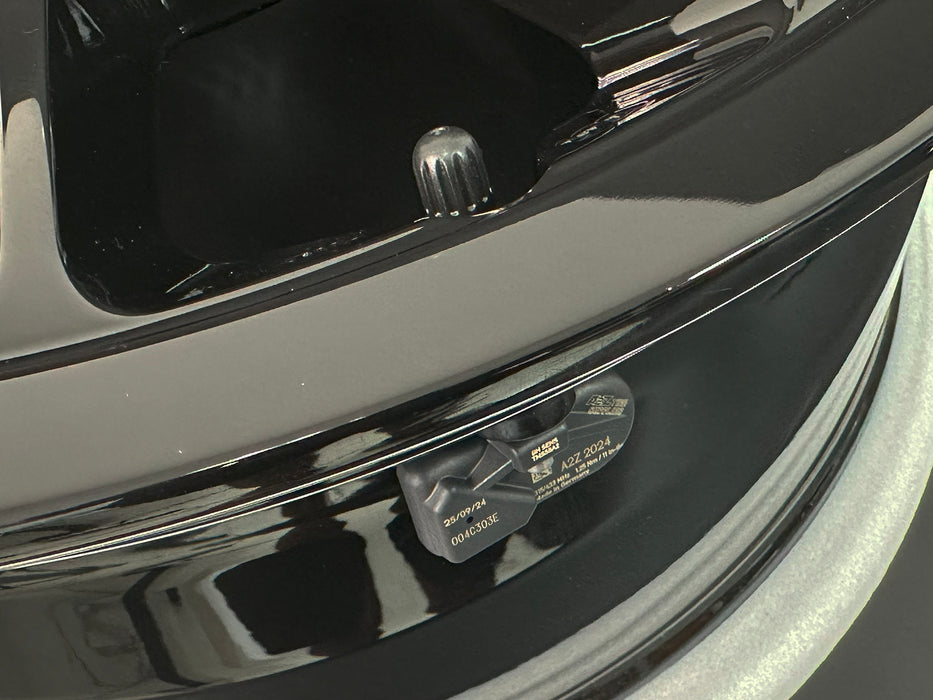 TPMS Black Rubber Valve & Silver Metal Valve
