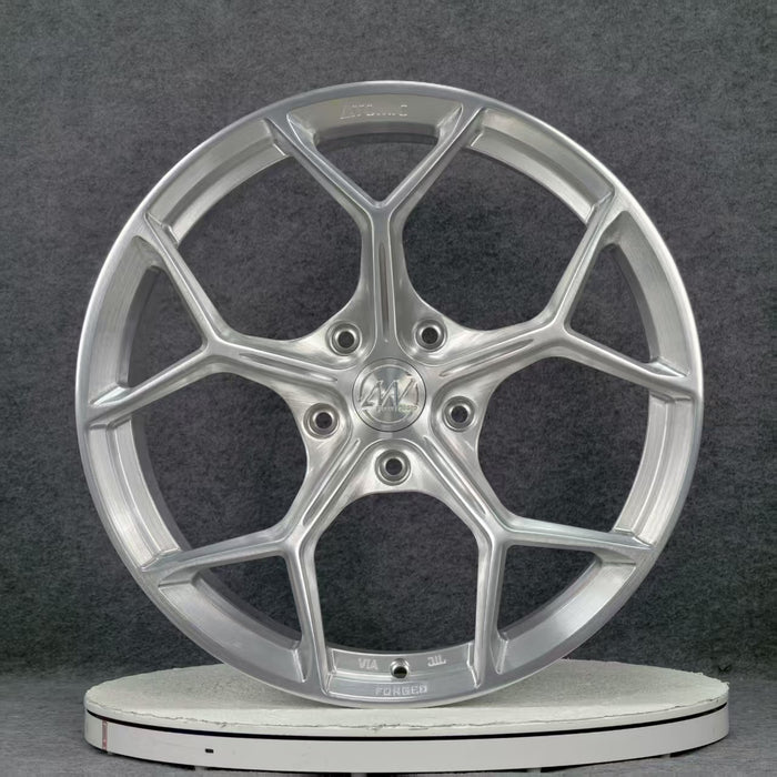 AW14 for Porsche Taycan 20x11 inch +50 Offset Forged Wheels Brushed Silver